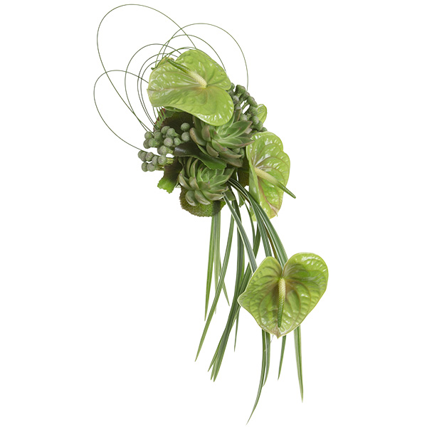 A dramatic bridal bouquet in a cascade style features green anthuriums, succulents, hypericum berries, and lily grass.