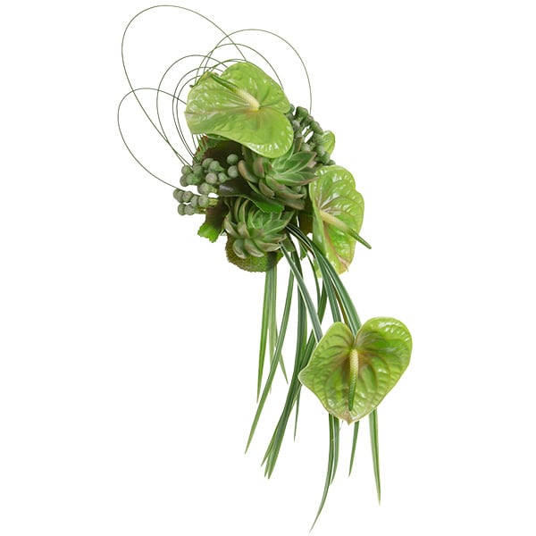 A dramatic bridal bouquet in a cascade style features green anthuriums, succulents, hypericum berries, and lily grass.