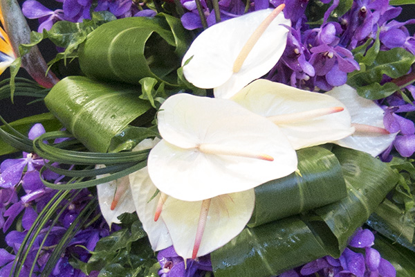 A gorgeous tropical style floral design, created by FDI Instructor Anna Bowman, features ivory anthuriums, purple orchids, rolled aspidistra leaves, and lily grass. 
