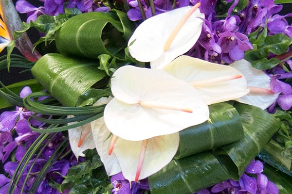 A gorgeous tropical style floral design, created by FDI Instructor Anna Bowman, features ivory anthuriums, purple orchids, rolled aspidistra leaves, and lily grass. 