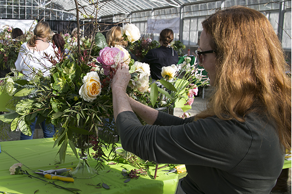At a floral design workshop, participants create garden rose centerpieces in glass compotes.