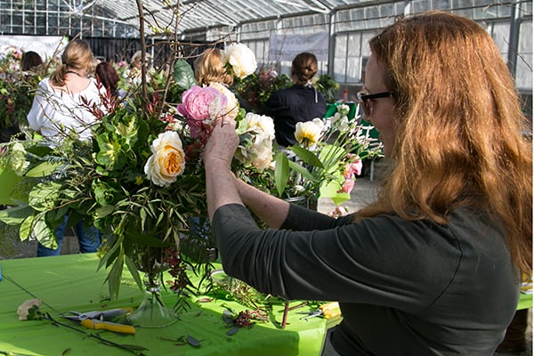 At a floral design workshop, participants create garden rose centerpieces in glass compotes.