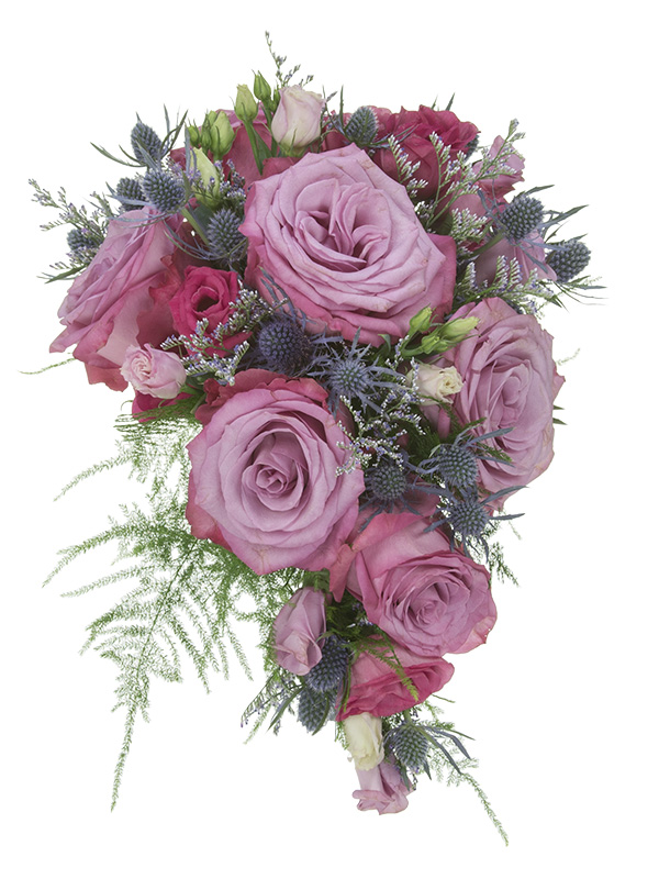 A classic cascade style wedding bouquet in cool water colors mixes garden roses, standard roses, spray roses, eryngium, heather, and plumosa.