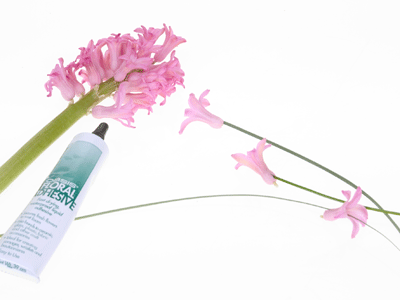 Thread individual hyacinth florets onto blades of bear grass, and use cold glue as needed to hold them in place.