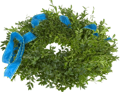 Tuck the ribbon into the boxwood wreath.