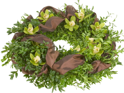Tuck the chocolate ribbon into the boxwood wreath, then add miniature cymbidium orchids to it.