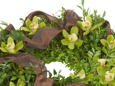 Hang the finished boxwood wreath on a door.