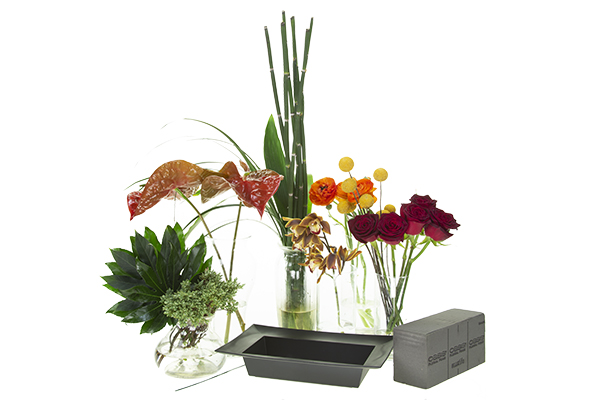 Materials for this floral design include anthuriums, Black Baccara roses, fatsia leaves, lily grass, boxwood, curly willow, and midnight floral foam, and a low container.