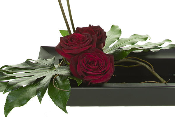 Terrace the Black Baccara roses from front to back to create line, depth and movement. 