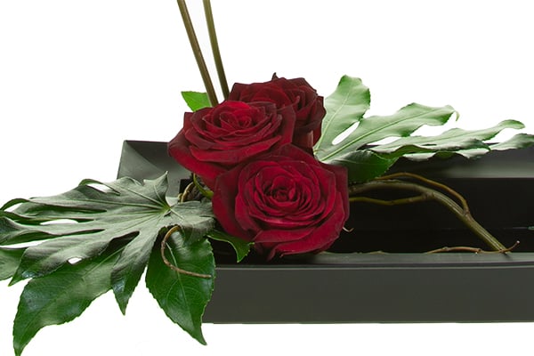 Terrace the Black Baccara roses from front to back to create line, depth and movement.