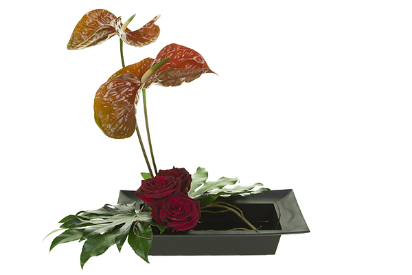 The Black Baccara roses add additional visual weight to counterbalance the anthuriums.
