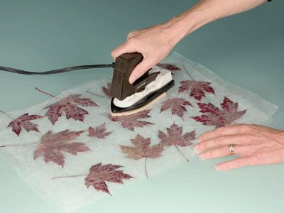 Iron maple leaves between wax paper to keep them pliable.