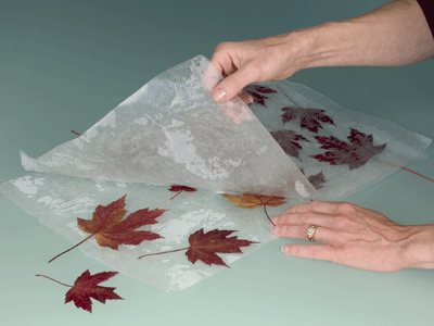 Peel apart wax paper when sheets have cooled, or store the leaves this way.