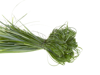 Bind all of the bear grass tufts loosely together into a bouquet sleeve.