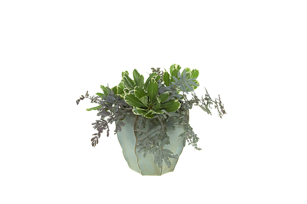 Create a base layer of foliage in the container using variegated pittosporum and acacia foliage.