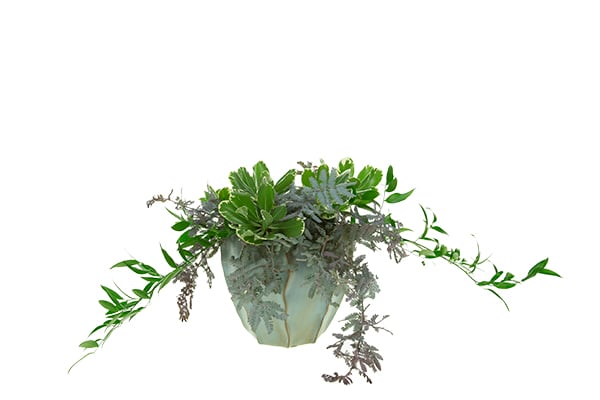 Add Italian ruscus to each side to extend the line of the design.