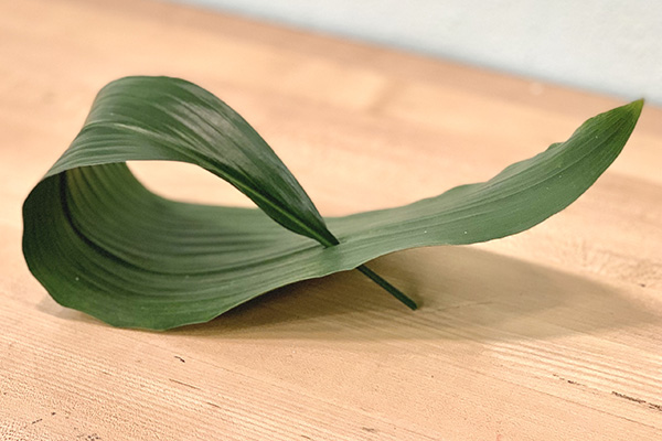 Roll and pierce the aspidistra leaf so it's ready for insertion in the design.