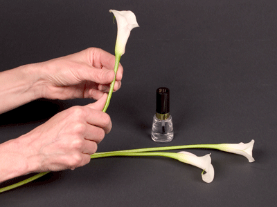 Mold the calla stems into an arch, then paint the ends of the callas with clear nail polish to seal the sap inside.