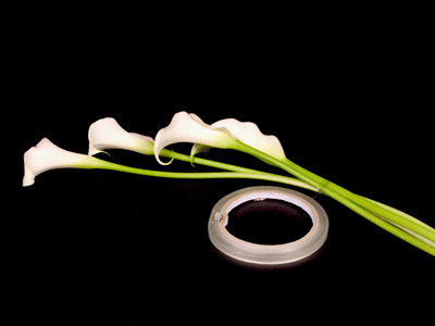 Sequence calla stems from smallest to largest, then use waterproof tape to secure the stems in place.
