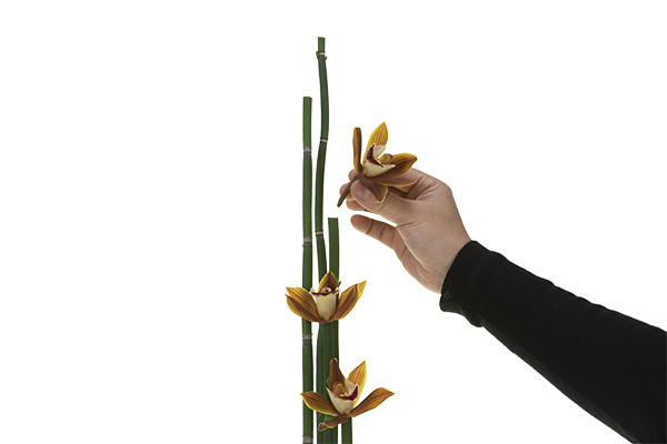 Insert a few mini-cymbidium blooms into the equisetum.