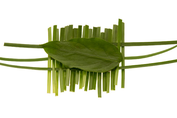 The addition of a Salad leaf to the UGlue and cardboard base