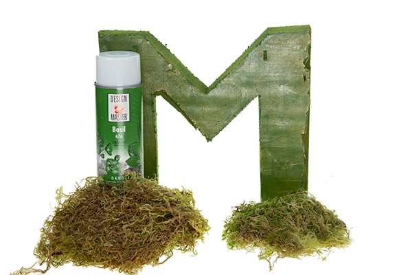 Use Design Master to paint the front and back of the letter form green to coordinate with the moss.