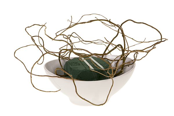 Create a low, nested natural armature using curly willow in a rounded form.