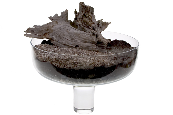 Fill your glass compote with pea gravel, river rocks, and soil, then add a piece of textured wood for contrast.