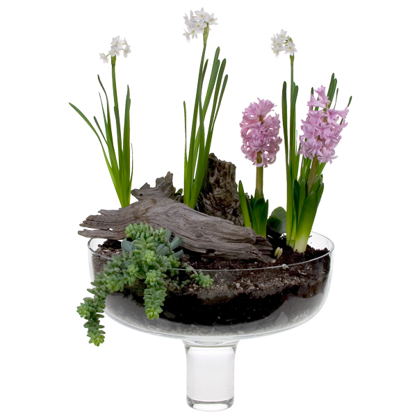 Place your plants individually, or in groups and cluster some for impact. Nestle others around the piece of wood.