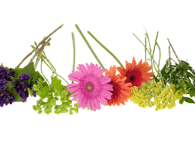 Gather summer flowers and foliages to create individual bouquets for each party vase.