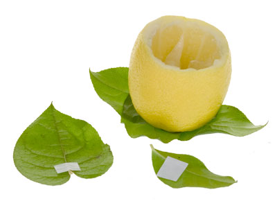 Attach salal leaves to the lemon skin with UGlu dashes.