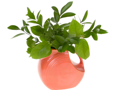 Create a nest of foliage in the Fiestaware vase.