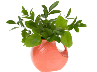Create a nest of foliage in the Fiestaware vase.