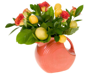 Insert roses and lemons on picks evenly into the nest of foliage in the Fiestaware vase.