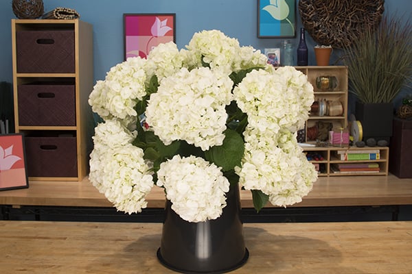 Create a round form with the hydrangeas.