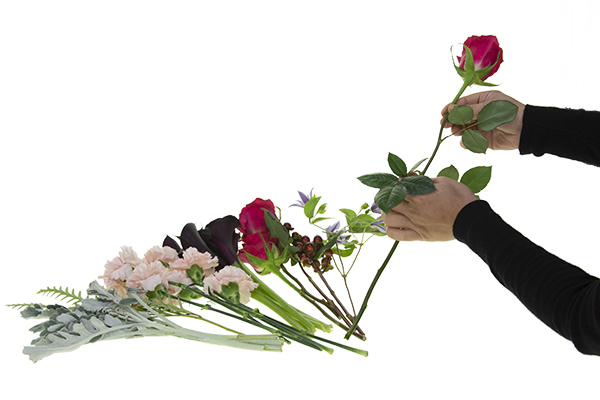 Preparation of stems for the stems