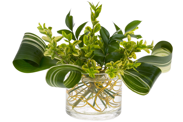 Add aspidistra leaves, euonymus, and Israeli ruscus to the vase.