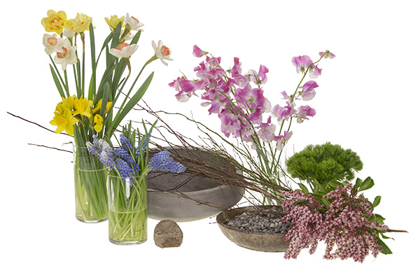 Materials for this floral design include daffodils, sweet peas, green trick dianthus, one branch of andromeda, budding huckleberry branches, a concrete container, and pea gravel.
