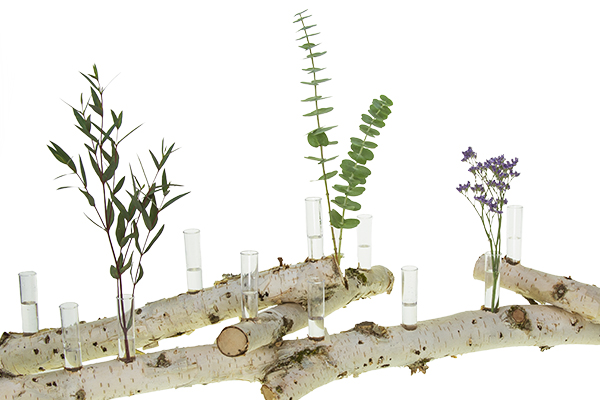 Adding base foliages to water tubes