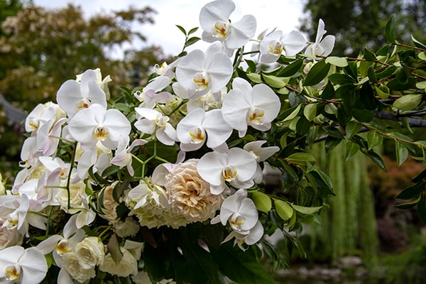 Closeup of the garden wedding arch