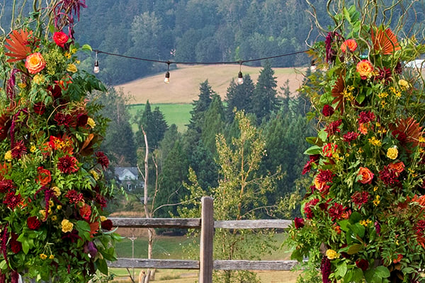 View of the vineyard valley with the wedding arch in the foreground.