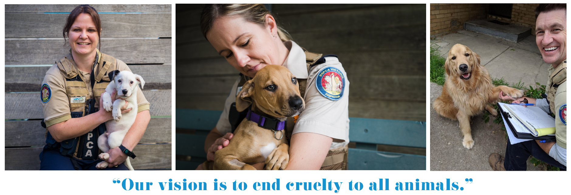 "Our vision is to end cruelty to all animals."