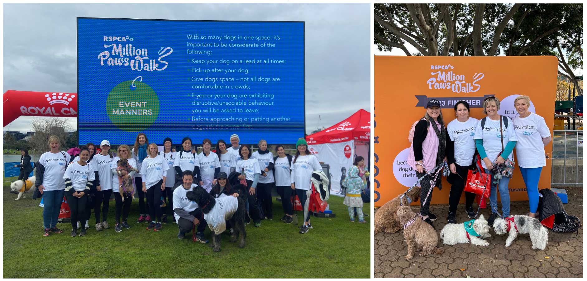 Our Melbourne and Sydney Teams walking in the Million Paws Walk 2023
