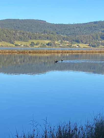 HUON RIVER AT GLAZIERS BAY