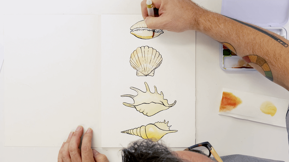Man holding a watercolour brush next to a watercolour palette and adding brown highlights to sea shells.