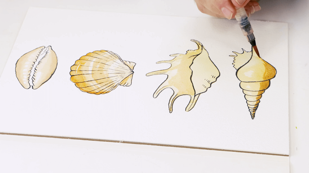 A hand holding a watercolour brush adds sienna in watercolour for definition to the forth shell.