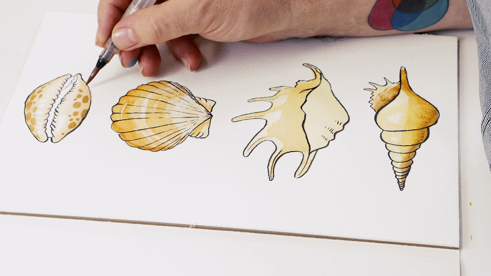 A hand holding a watercolour brush adds spots to the first seashell using watercolour for detailing.