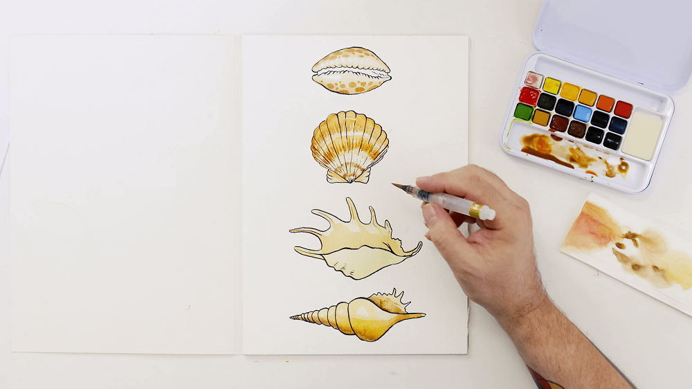 A hand holding a watercolour brush next to a watercolour palette and paper towel shows three near complete seashells.