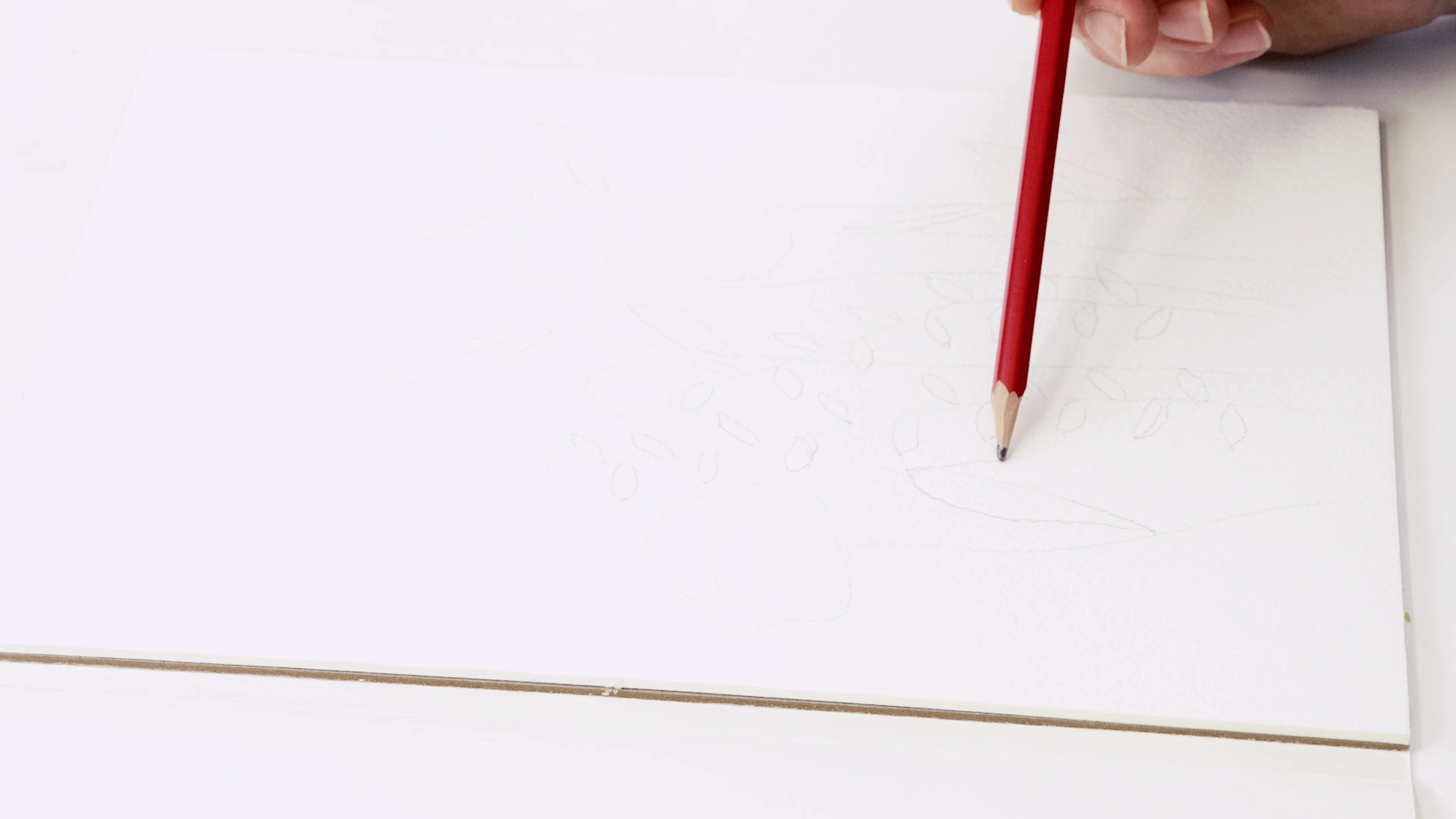 A hand holding a HB pencil drawing circles for the flower buds on white watercolour paper.