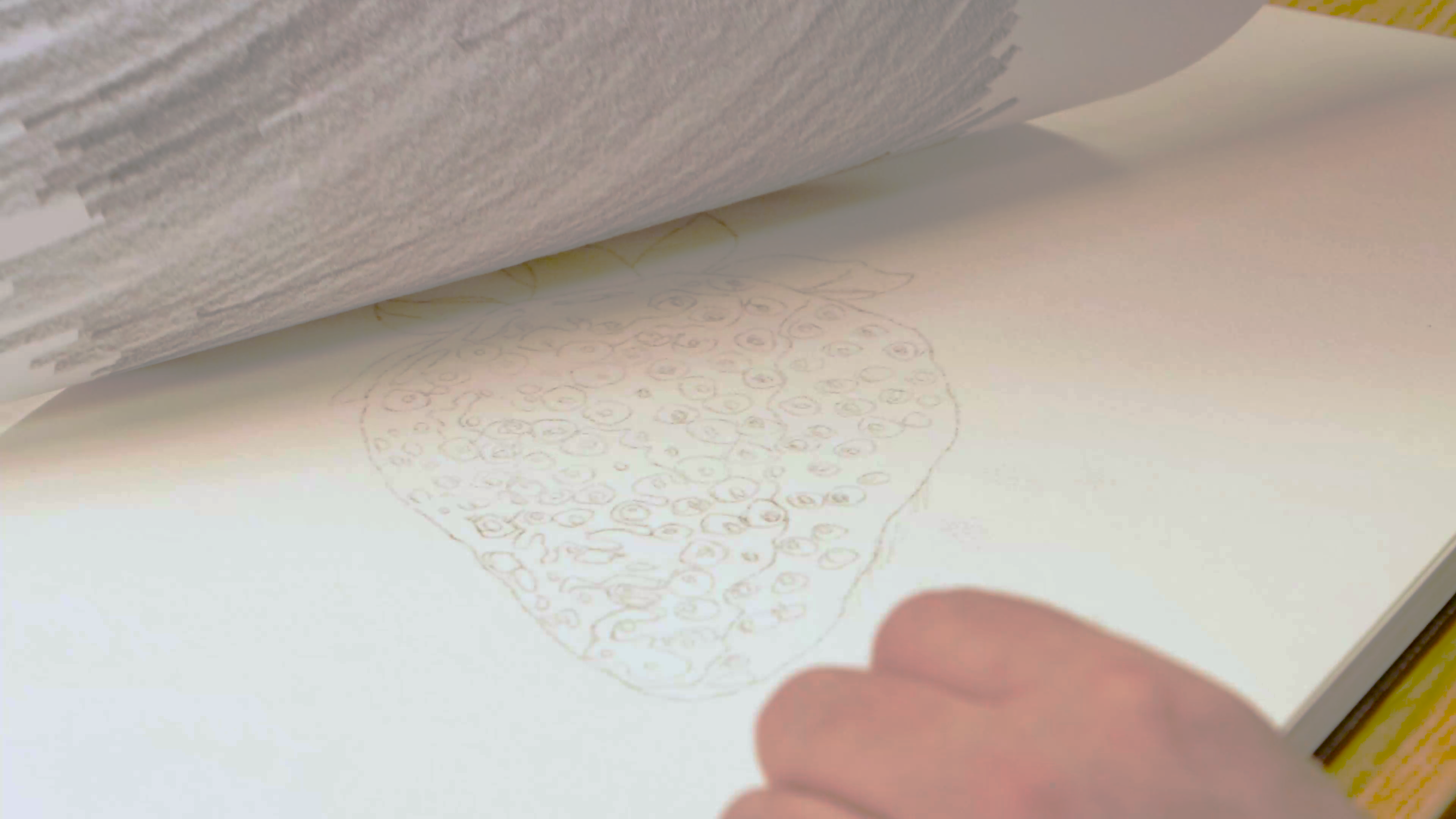 Transferring strawberry outline sketch